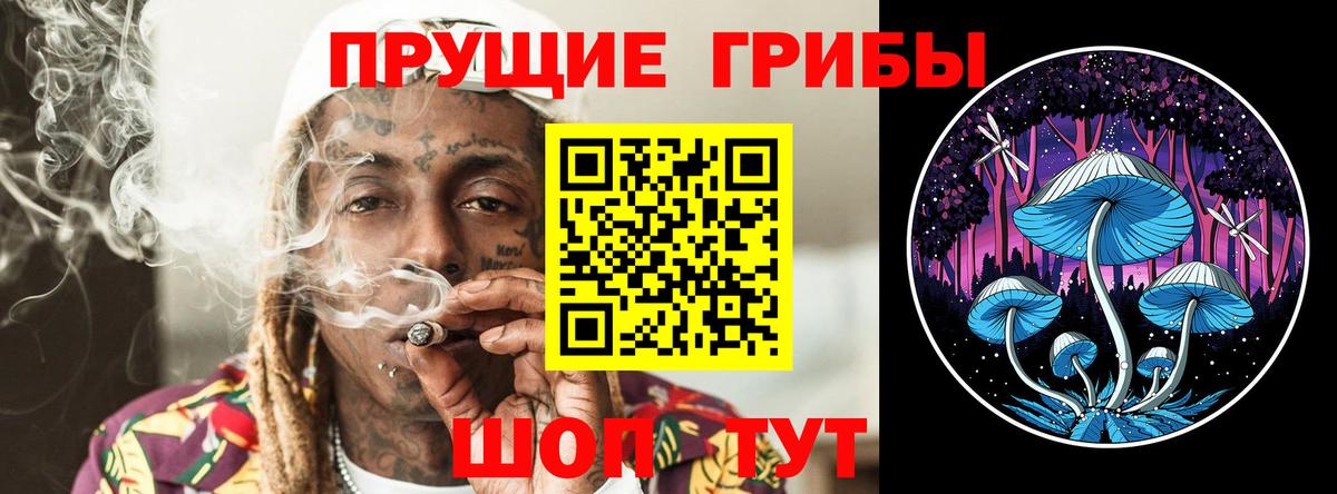 Ярцево  Галлюциногенные грибы мухоморы  Галлюциногенные грибы Psilocybine cubensis  Вход с VPN 